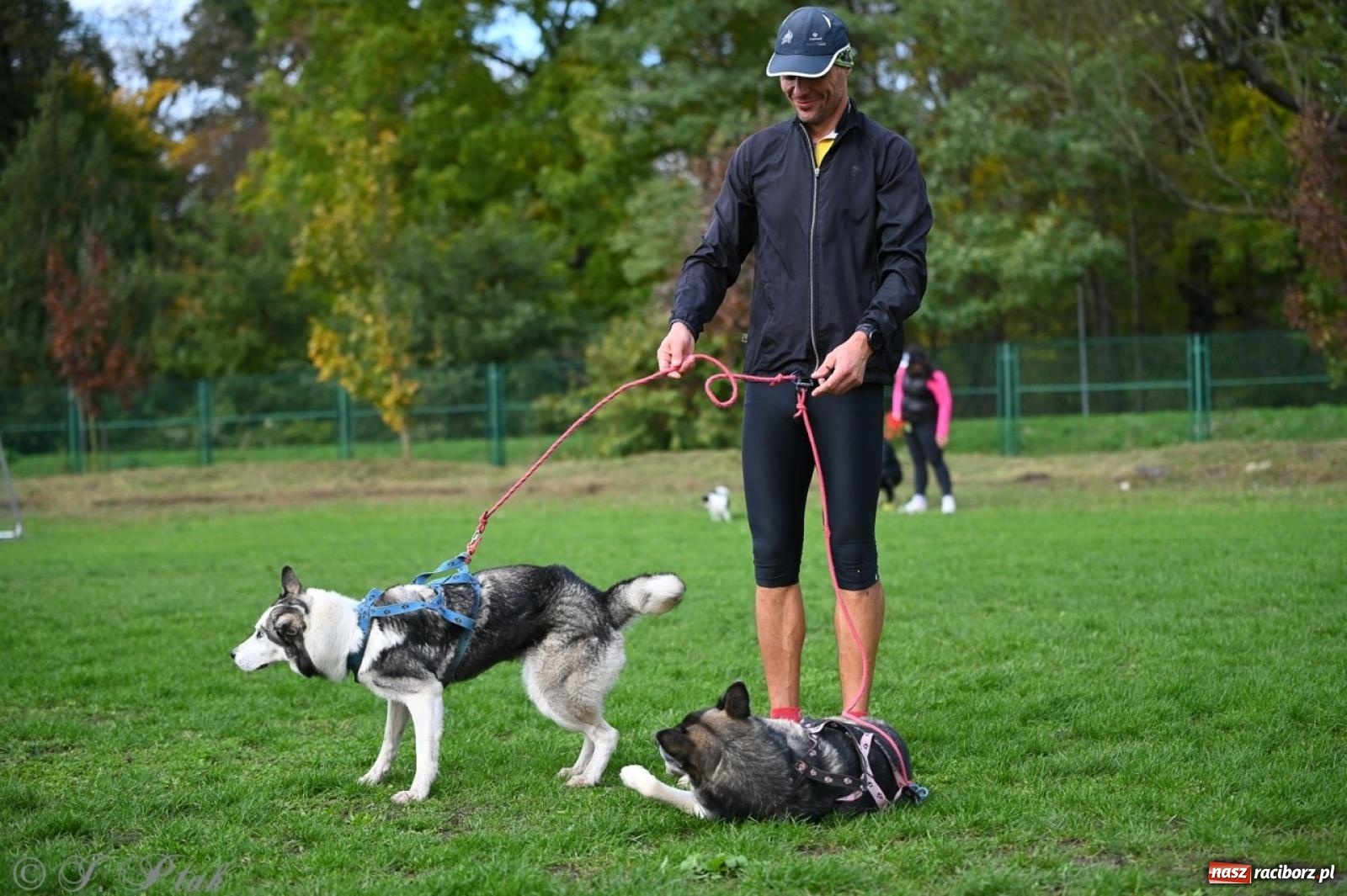 Zdjęcie w galerii na portalu naszraciborz.pl: Niedzielny dogtrekking. Bieg i spacer z psami wsparciem dla zwierząt OTOZ Animals wiadomości z regionu
