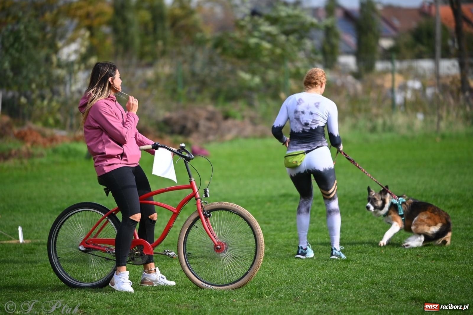 Zdjęcie w galerii na portalu naszraciborz.pl: Niedzielny dogtrekking. Bieg i spacer z psami wsparciem dla zwierząt OTOZ Animals wiadomości z regionu