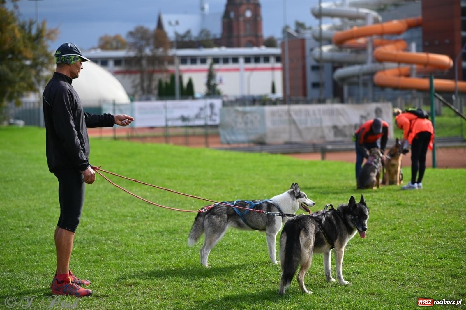 Zdjęcie w galerii na portalu naszraciborz.pl: Niedzielny dogtrekking. Bieg i spacer z psami wsparciem dla zwierząt OTOZ Animals wiadomości z regionu