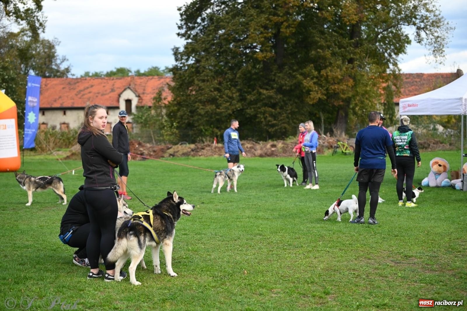 Zdjęcie w galerii na portalu naszraciborz.pl: Niedzielny dogtrekking. Bieg i spacer z psami wsparciem dla zwierząt OTOZ Animals wiadomości z regionu