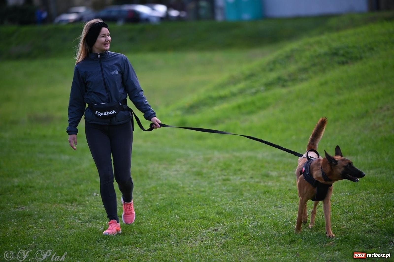 Zdjęcie w galerii na portalu naszraciborz.pl: Niedzielny dogtrekking. Bieg i spacer z psami wsparciem dla zwierząt OTOZ Animals wiadomości z regionu