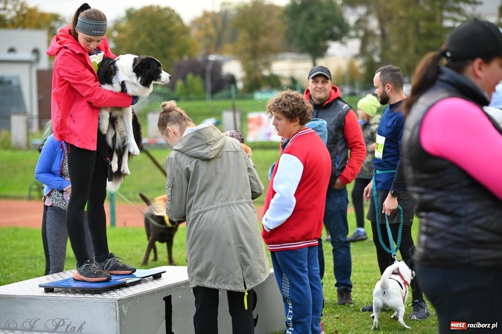 Zdjęcie w galerii na portalu naszraciborz.pl: Niedzielny dogtrekking. Bieg i spacer z psami wsparciem dla zwierząt OTOZ Animals wiadomości z regionu