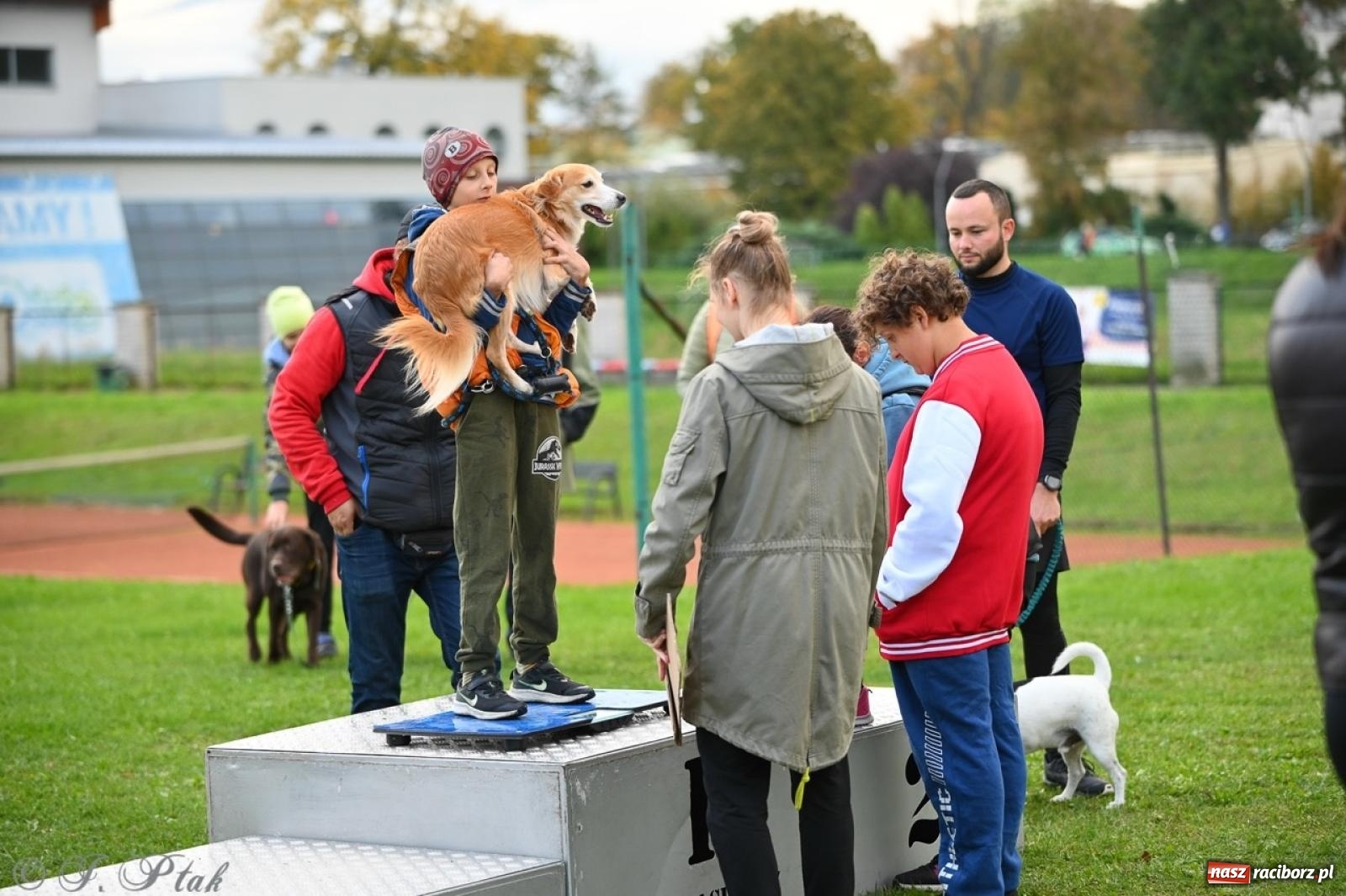 Zdjęcie w galerii na portalu naszraciborz.pl: Niedzielny dogtrekking. Bieg i spacer z psami wsparciem dla zwierząt OTOZ Animals wiadomości z regionu