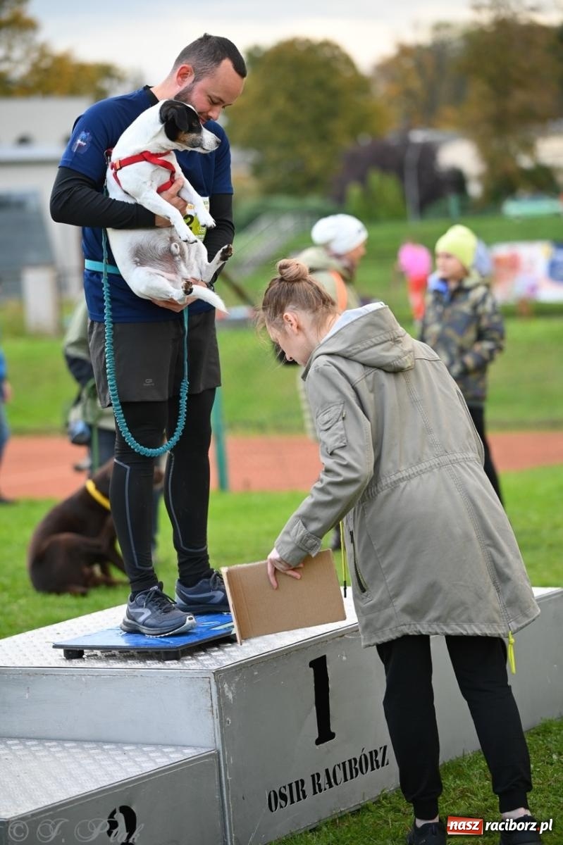 Zdjęcie w galerii na portalu naszraciborz.pl: Niedzielny dogtrekking. Bieg i spacer z psami wsparciem dla zwierząt OTOZ Animals wiadomości z regionu