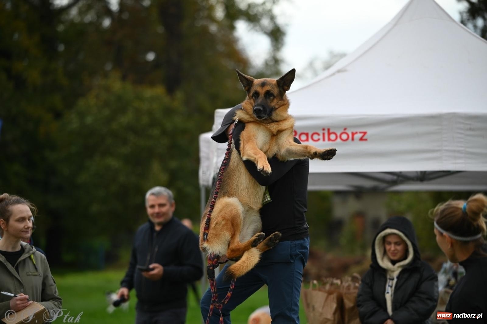 Zdjęcie w galerii na portalu naszraciborz.pl: Niedzielny dogtrekking. Bieg i spacer z psami wsparciem dla zwierząt OTOZ Animals wiadomości z regionu