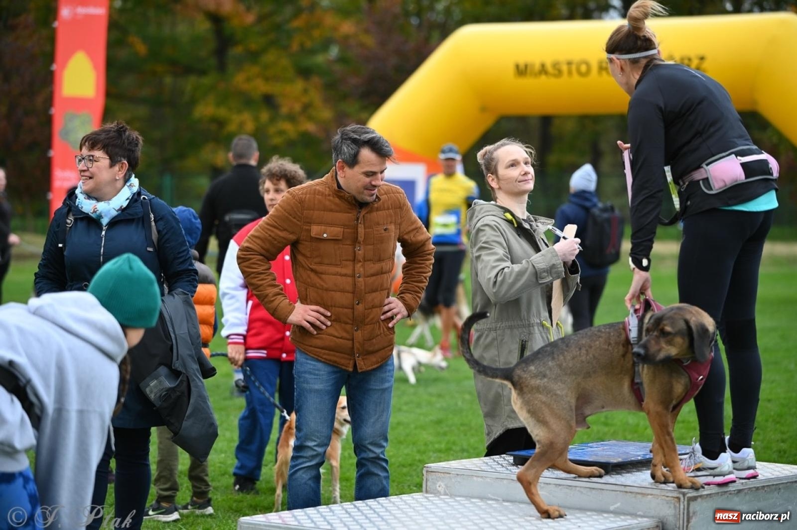 Zdjęcie w galerii na portalu naszraciborz.pl: Niedzielny dogtrekking. Bieg i spacer z psami wsparciem dla zwierząt OTOZ Animals wiadomości z regionu