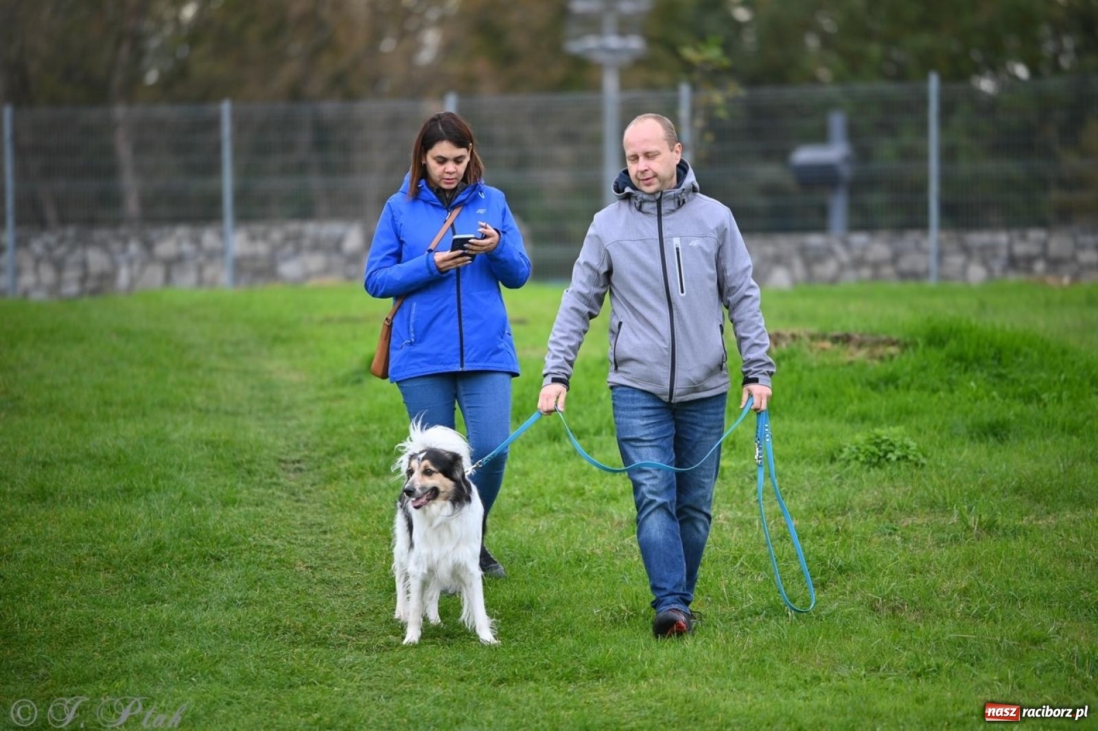 Zdjęcie w galerii na portalu naszraciborz.pl: Niedzielny dogtrekking. Bieg i spacer z psami wsparciem dla zwierząt OTOZ Animals wiadomości z regionu