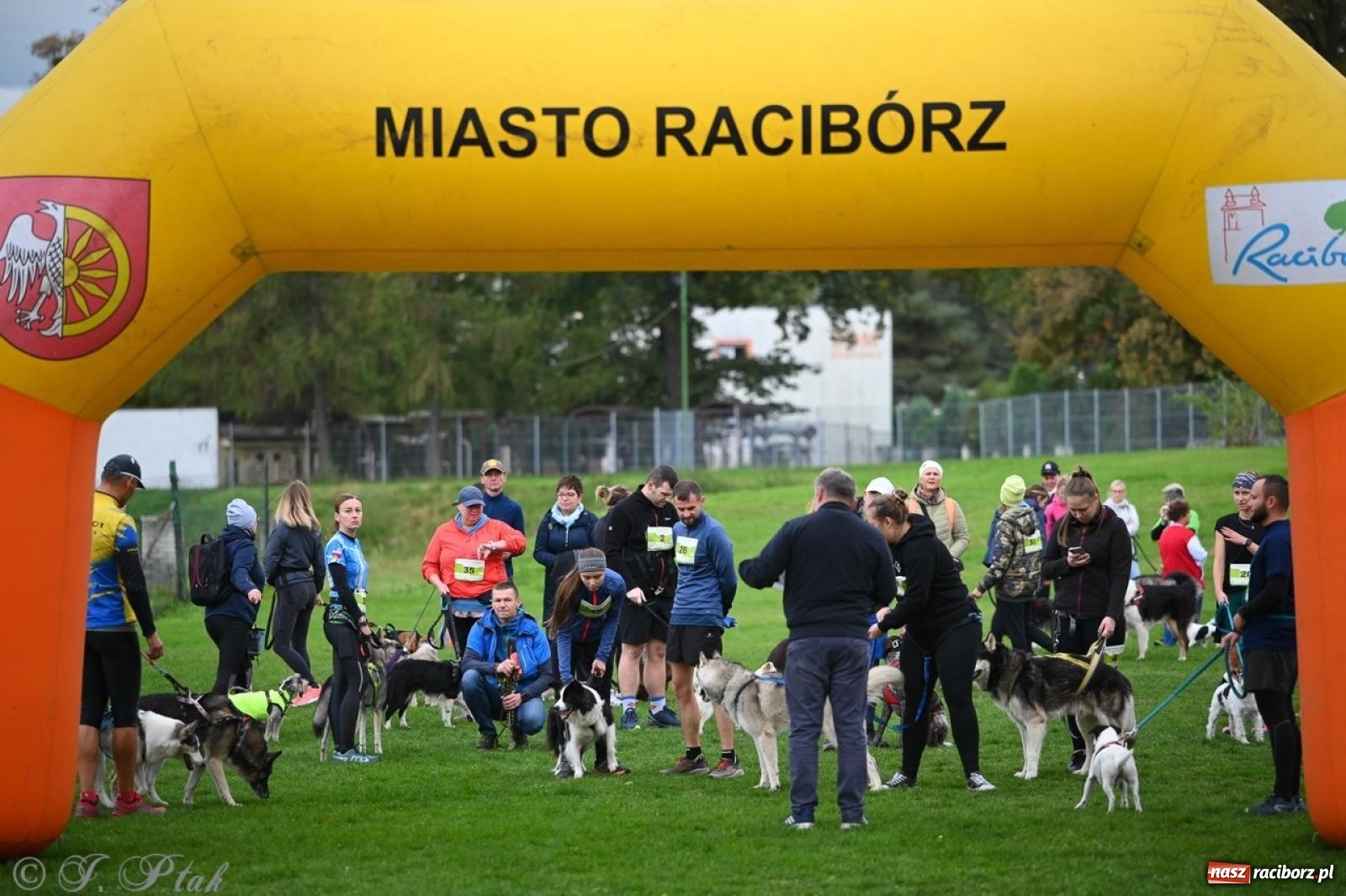 Zdjęcie w galerii na portalu naszraciborz.pl: Niedzielny dogtrekking. Bieg i spacer z psami wsparciem dla zwierząt OTOZ Animals wiadomości z regionu
