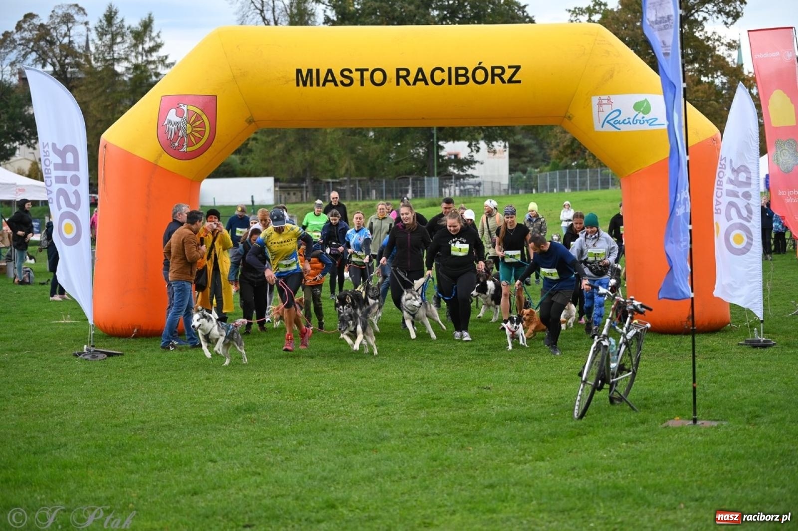 Zdjęcie w galerii na portalu naszraciborz.pl: Niedzielny dogtrekking. Bieg i spacer z psami wsparciem dla zwierząt OTOZ Animals wiadomości z regionu