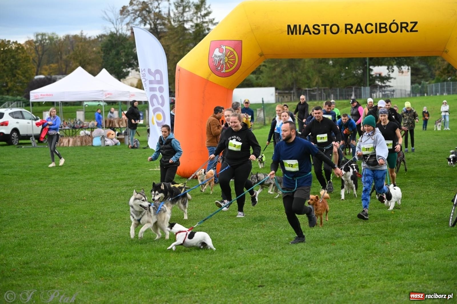Zdjęcie w galerii na portalu naszraciborz.pl: Niedzielny dogtrekking. Bieg i spacer z psami wsparciem dla zwierząt OTOZ Animals wiadomości z regionu