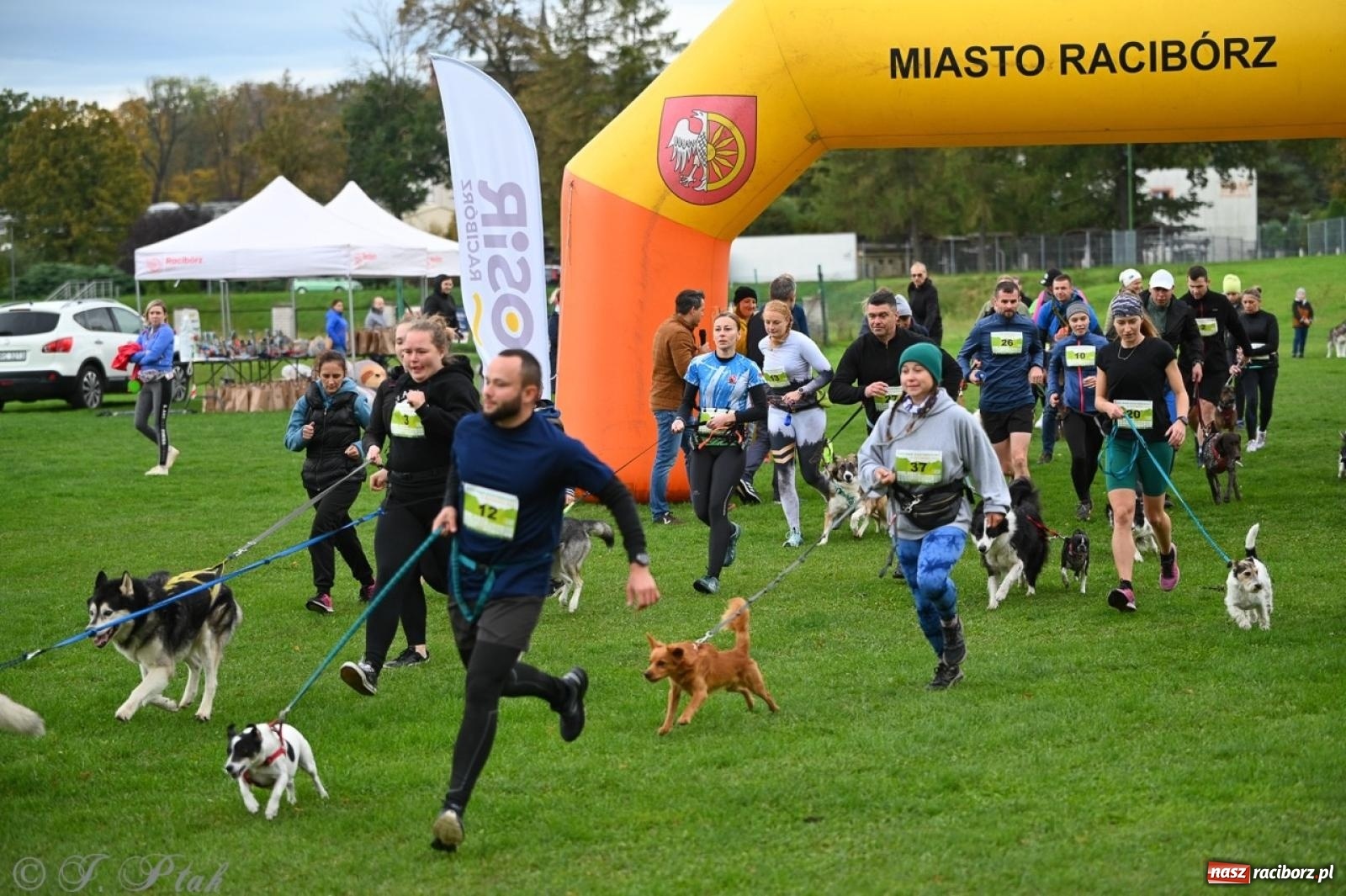 Zdjęcie w galerii na portalu naszraciborz.pl: Niedzielny dogtrekking. Bieg i spacer z psami wsparciem dla zwierząt OTOZ Animals wiadomości z regionu