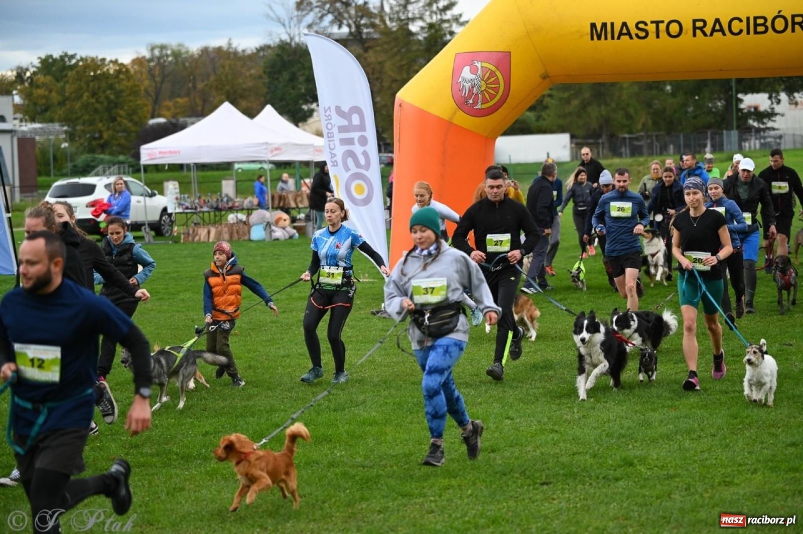 Zdjęcie w galerii na portalu naszraciborz.pl: Niedzielny dogtrekking. Bieg i spacer z psami wsparciem dla zwierząt OTOZ Animals wiadomości z regionu