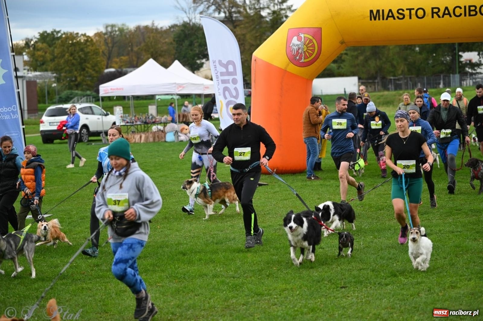 Zdjęcie w galerii na portalu naszraciborz.pl: Niedzielny dogtrekking. Bieg i spacer z psami wsparciem dla zwierząt OTOZ Animals wiadomości z regionu