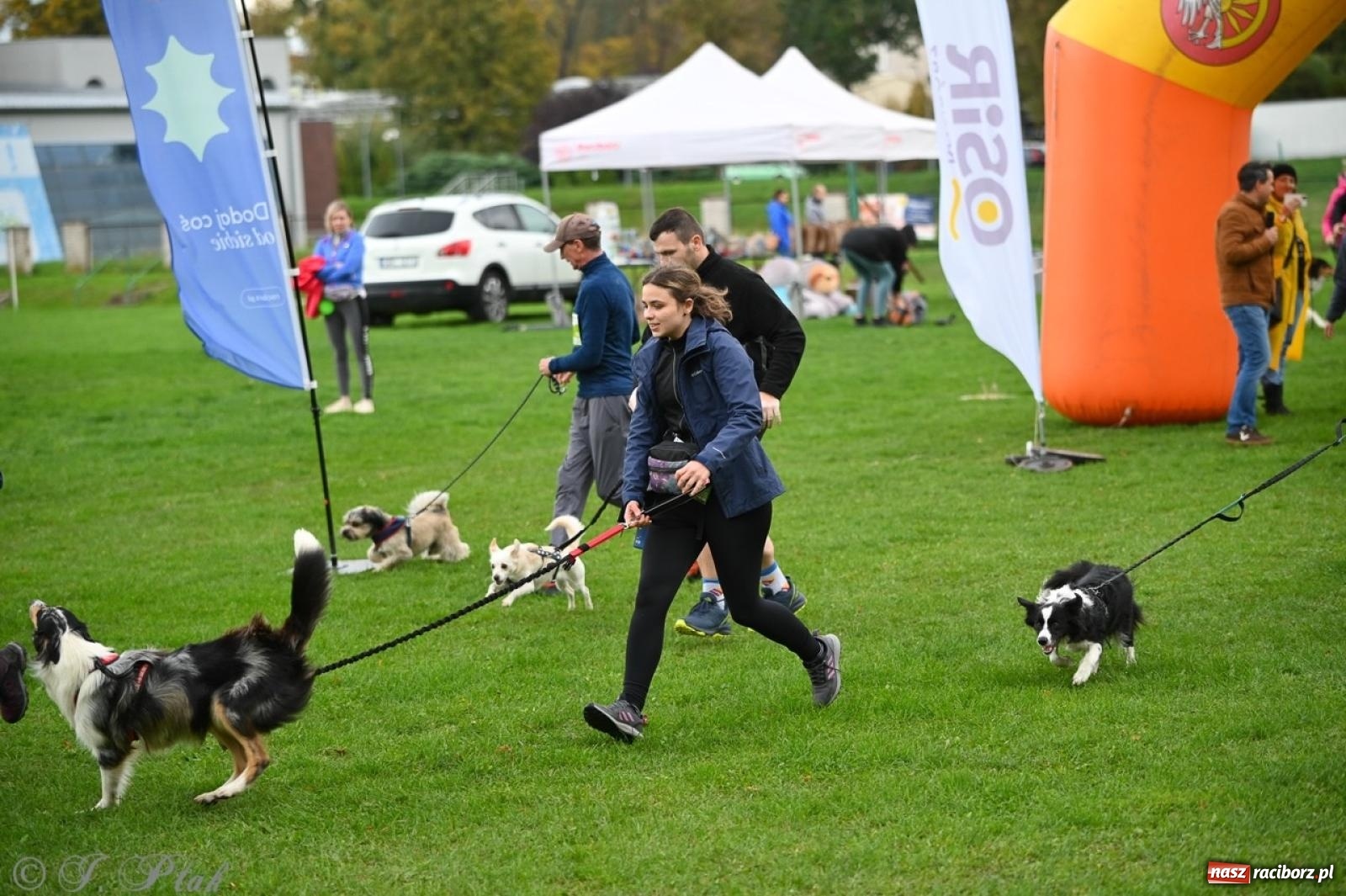Zdjęcie w galerii na portalu naszraciborz.pl: Niedzielny dogtrekking. Bieg i spacer z psami wsparciem dla zwierząt OTOZ Animals wiadomości z regionu