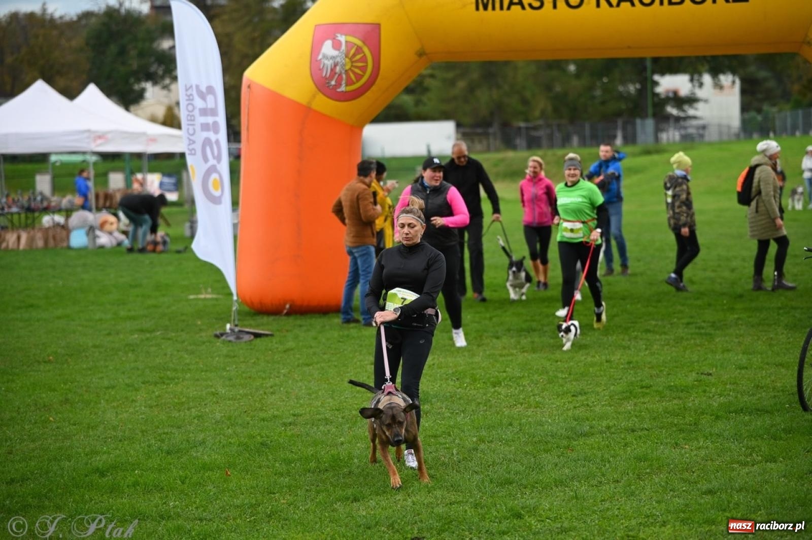 Zdjęcie w galerii na portalu naszraciborz.pl: Niedzielny dogtrekking. Bieg i spacer z psami wsparciem dla zwierząt OTOZ Animals wiadomości z regionu