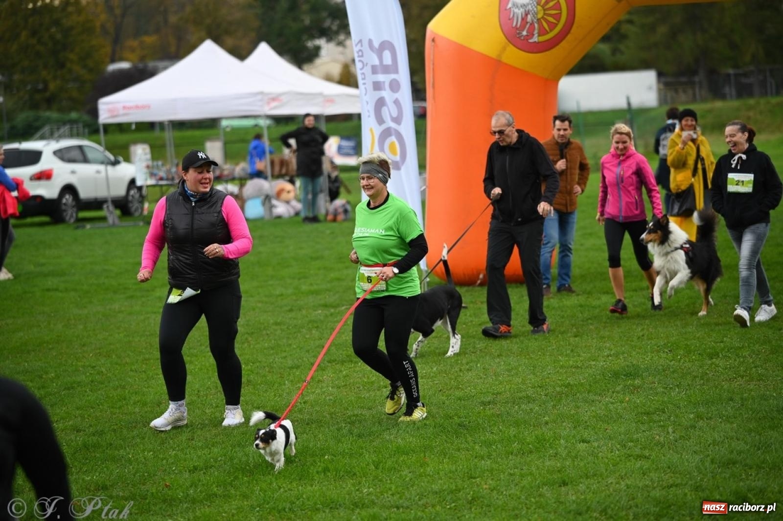Zdjęcie w galerii na portalu naszraciborz.pl: Niedzielny dogtrekking. Bieg i spacer z psami wsparciem dla zwierząt OTOZ Animals wiadomości z regionu