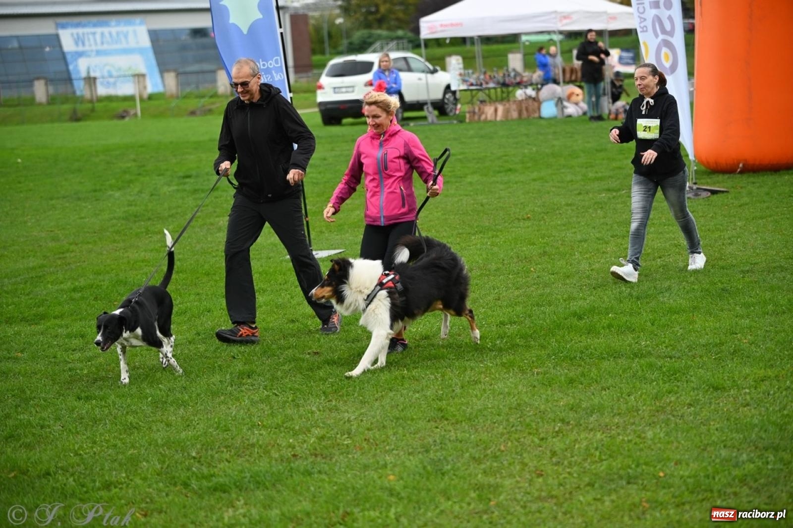 Zdjęcie w galerii na portalu naszraciborz.pl: Niedzielny dogtrekking. Bieg i spacer z psami wsparciem dla zwierząt OTOZ Animals wiadomości z regionu