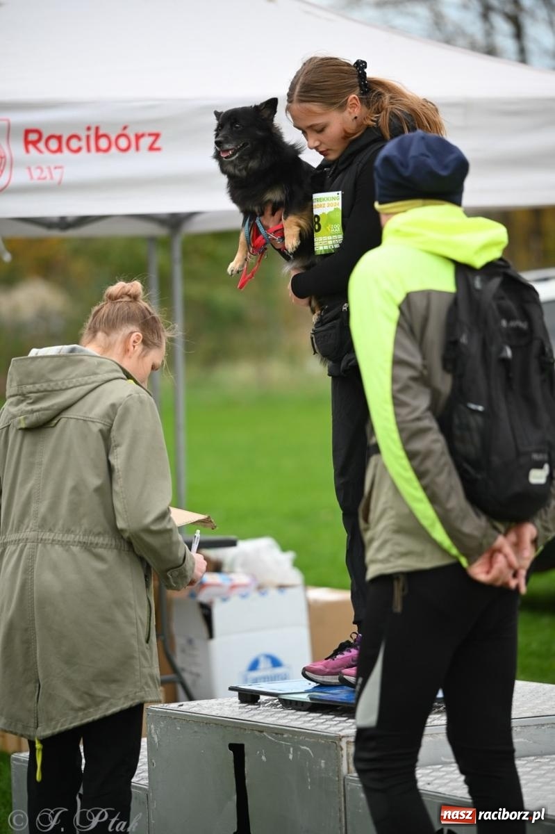 Zdjęcie w galerii na portalu naszraciborz.pl: Niedzielny dogtrekking. Bieg i spacer z psami wsparciem dla zwierząt OTOZ Animals wiadomości z regionu