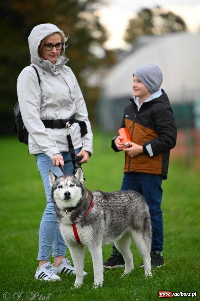 Zdjęcie w galerii na portalu naszraciborz.pl: Niedzielny dogtrekking. Bieg i spacer z psami wsparciem dla zwierząt OTOZ Animals wiadomości z regionu