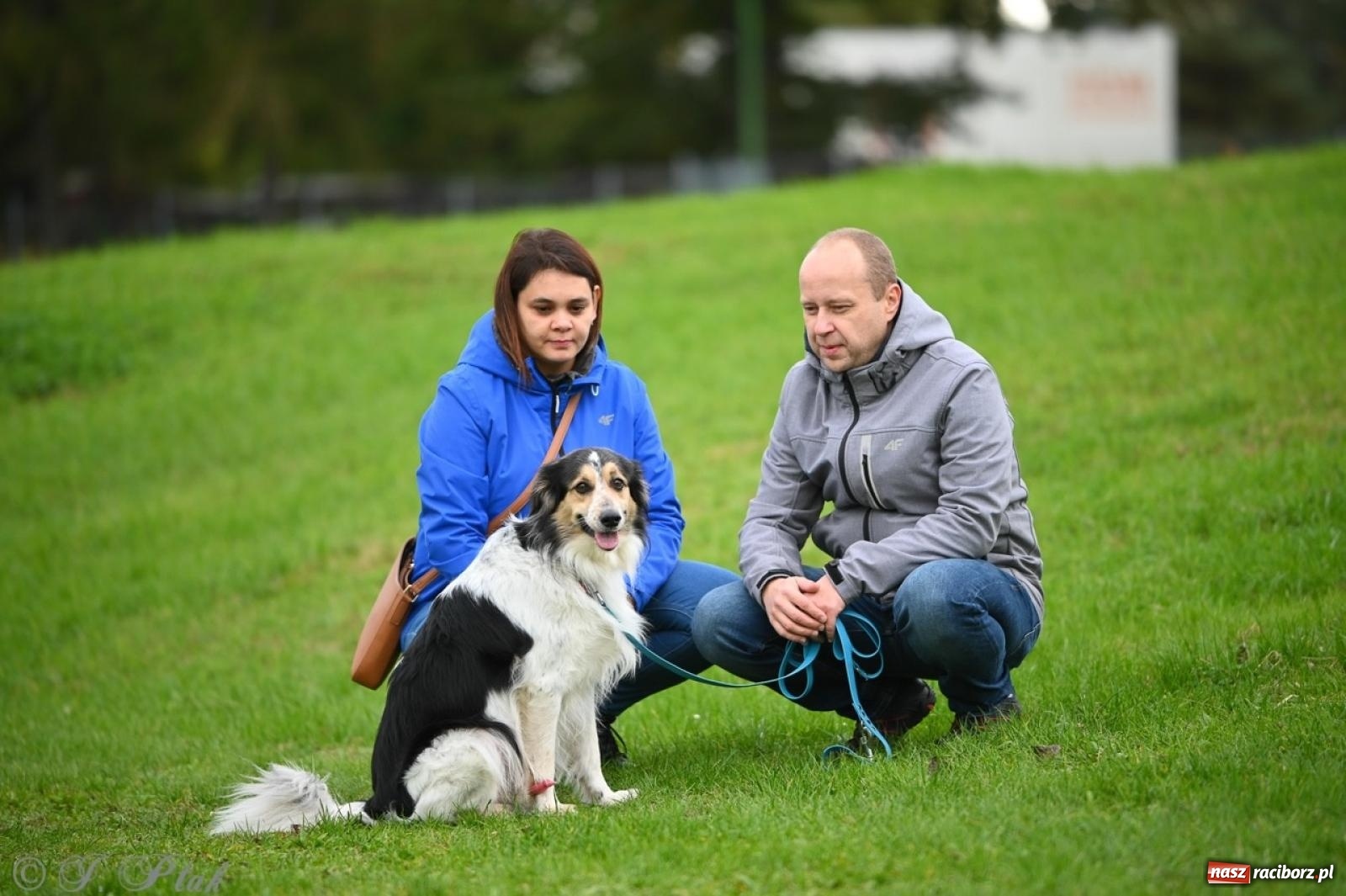 Zdjęcie w galerii na portalu naszraciborz.pl: Niedzielny dogtrekking. Bieg i spacer z psami wsparciem dla zwierząt OTOZ Animals wiadomości z regionu