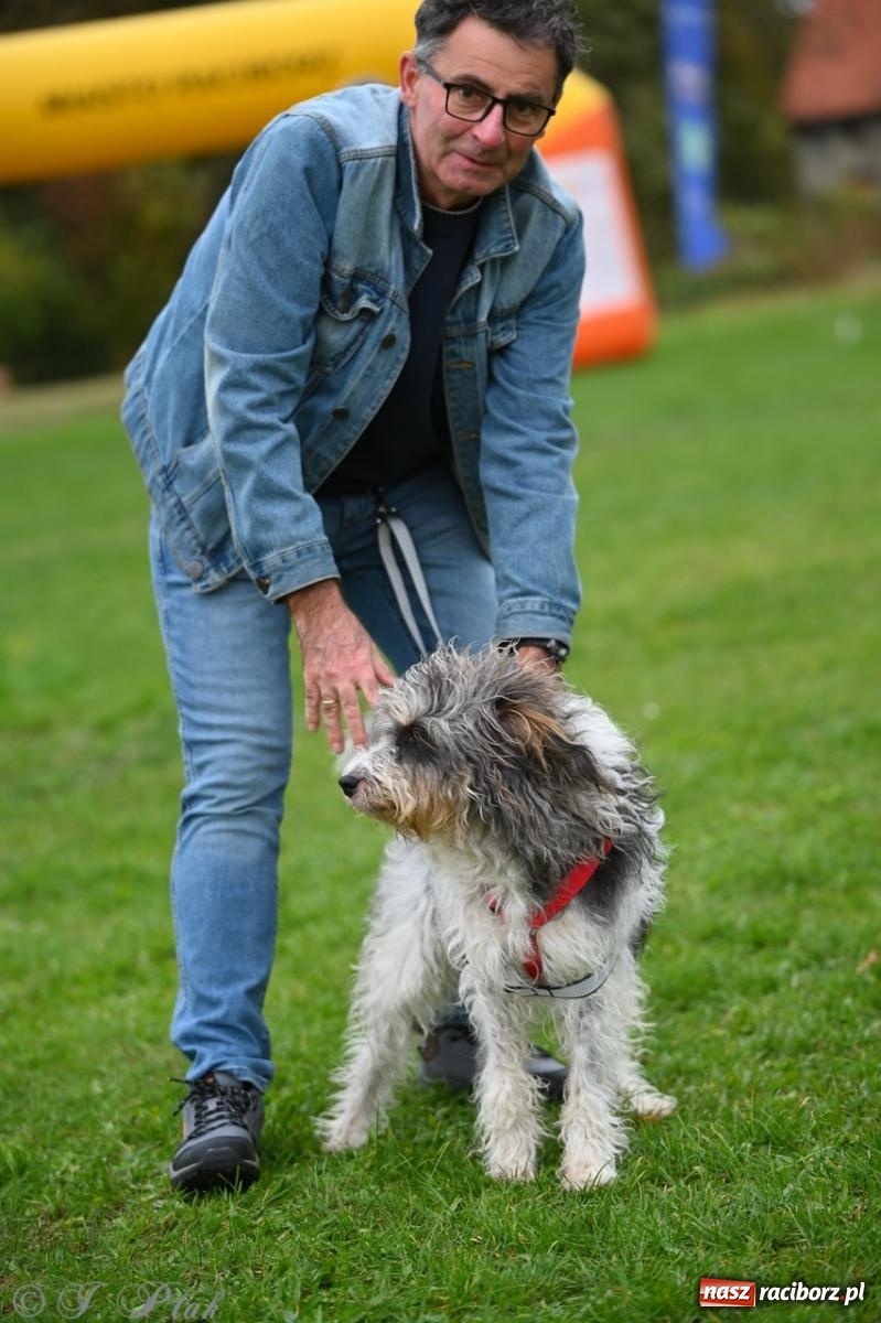 Zdjęcie w galerii na portalu naszraciborz.pl: Niedzielny dogtrekking. Bieg i spacer z psami wsparciem dla zwierząt OTOZ Animals wiadomości z regionu