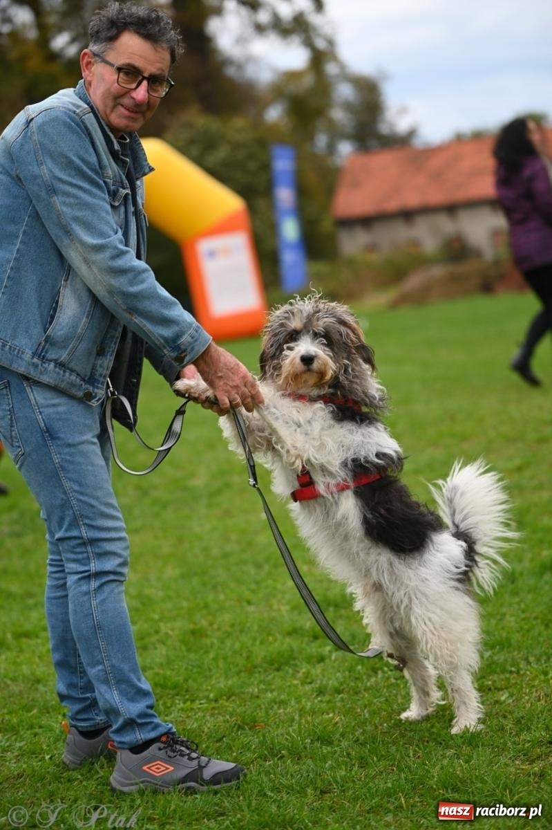 Zdjęcie w galerii na portalu naszraciborz.pl: Niedzielny dogtrekking. Bieg i spacer z psami wsparciem dla zwierząt OTOZ Animals wiadomości z regionu