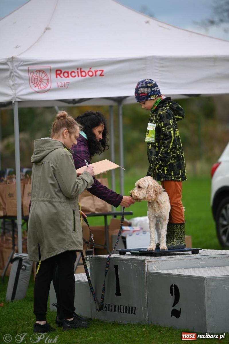 Zdjęcie w galerii na portalu naszraciborz.pl: Niedzielny dogtrekking. Bieg i spacer z psami wsparciem dla zwierząt OTOZ Animals wiadomości z regionu