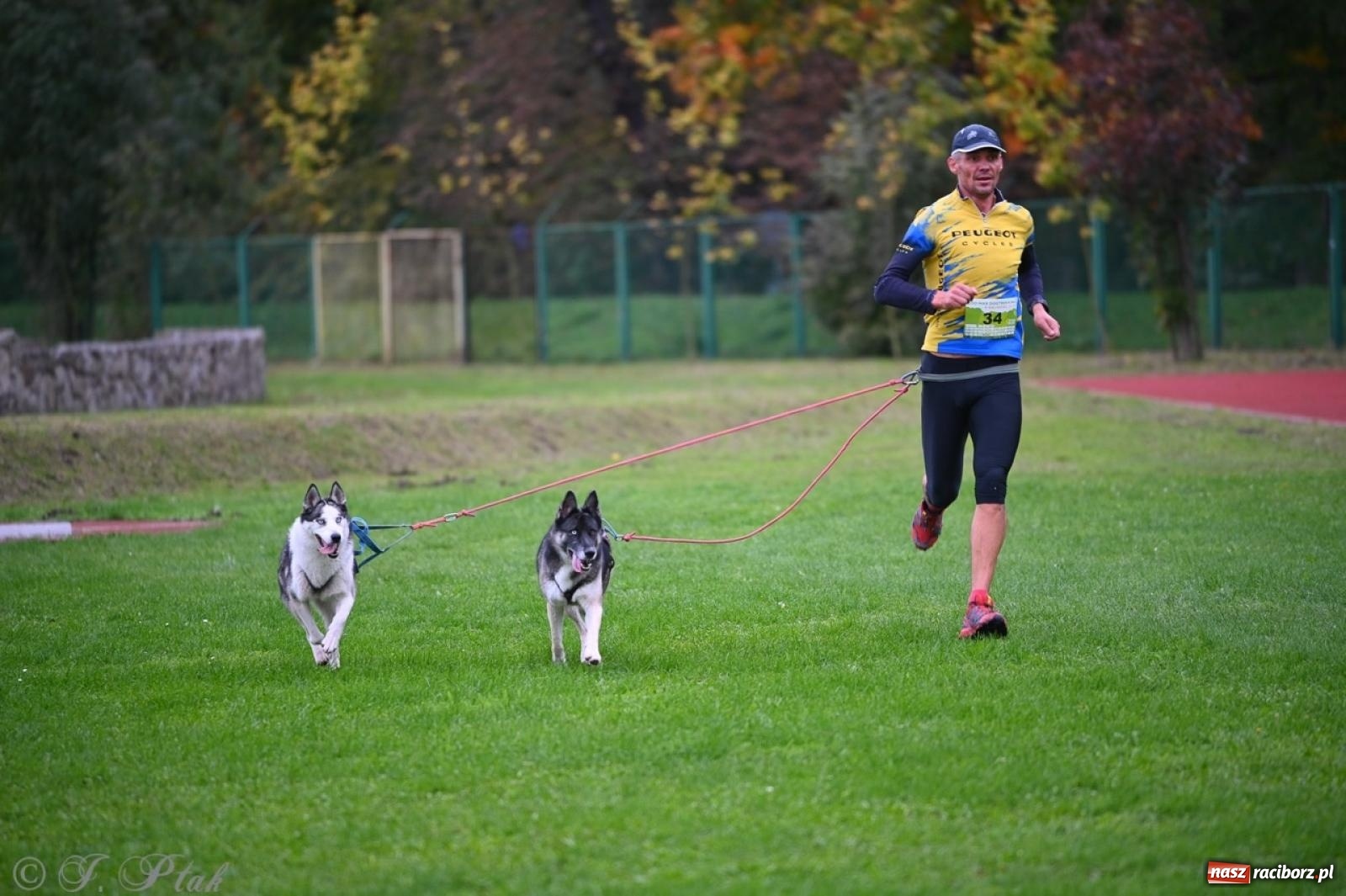Zdjęcie w galerii na portalu naszraciborz.pl: Niedzielny dogtrekking. Bieg i spacer z psami wsparciem dla zwierząt OTOZ Animals wiadomości z regionu