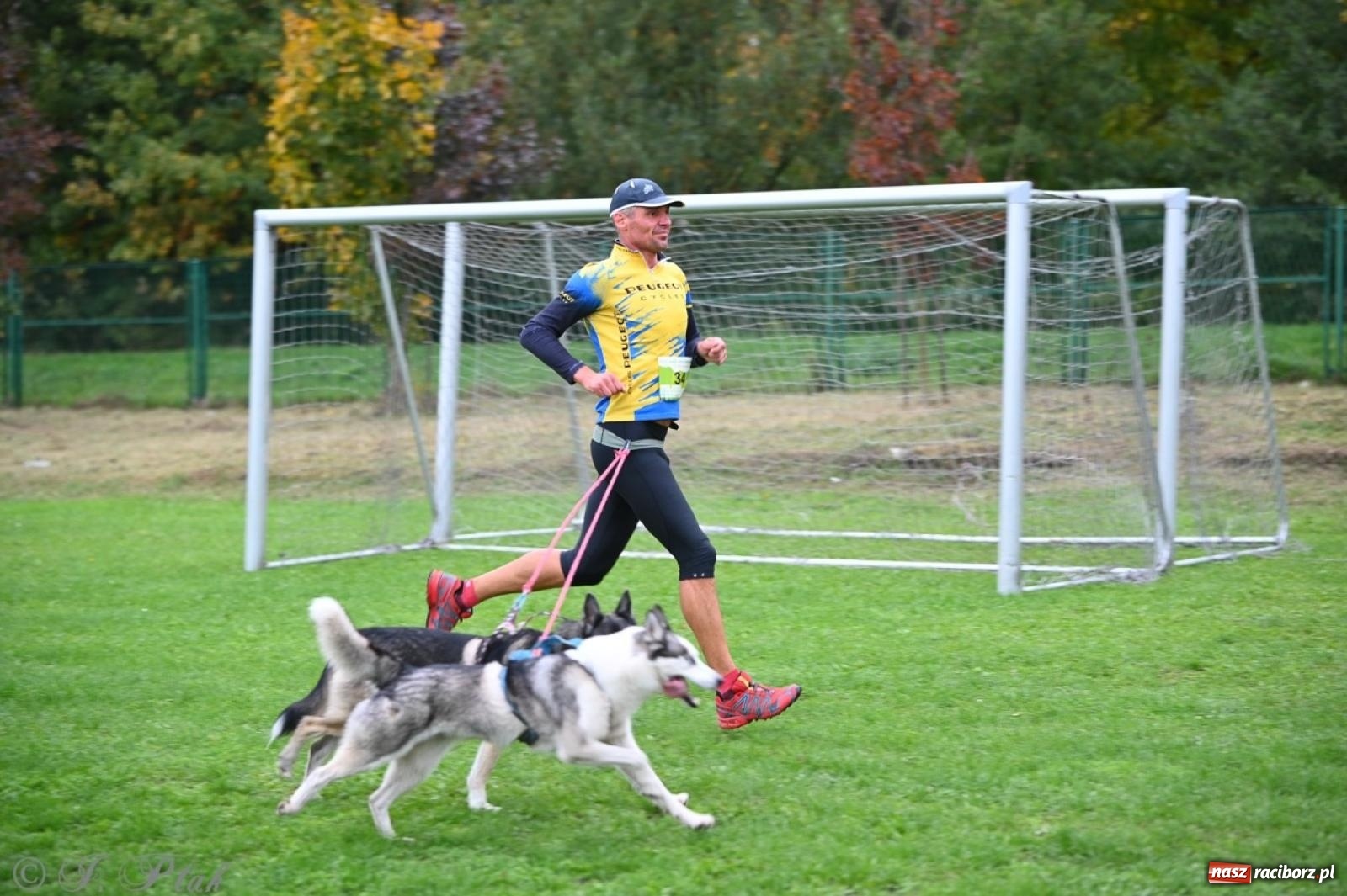 Zdjęcie w galerii na portalu naszraciborz.pl: Niedzielny dogtrekking. Bieg i spacer z psami wsparciem dla zwierząt OTOZ Animals wiadomości z regionu
