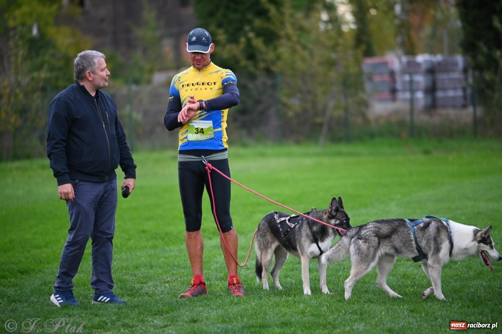 Zdjęcie w galerii na portalu naszraciborz.pl: Niedzielny dogtrekking. Bieg i spacer z psami wsparciem dla zwierząt OTOZ Animals wiadomości z regionu