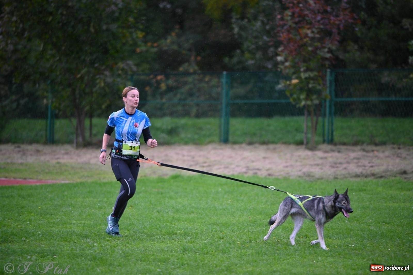 Zdjęcie w galerii na portalu naszraciborz.pl: Niedzielny dogtrekking. Bieg i spacer z psami wsparciem dla zwierząt OTOZ Animals wiadomości z regionu