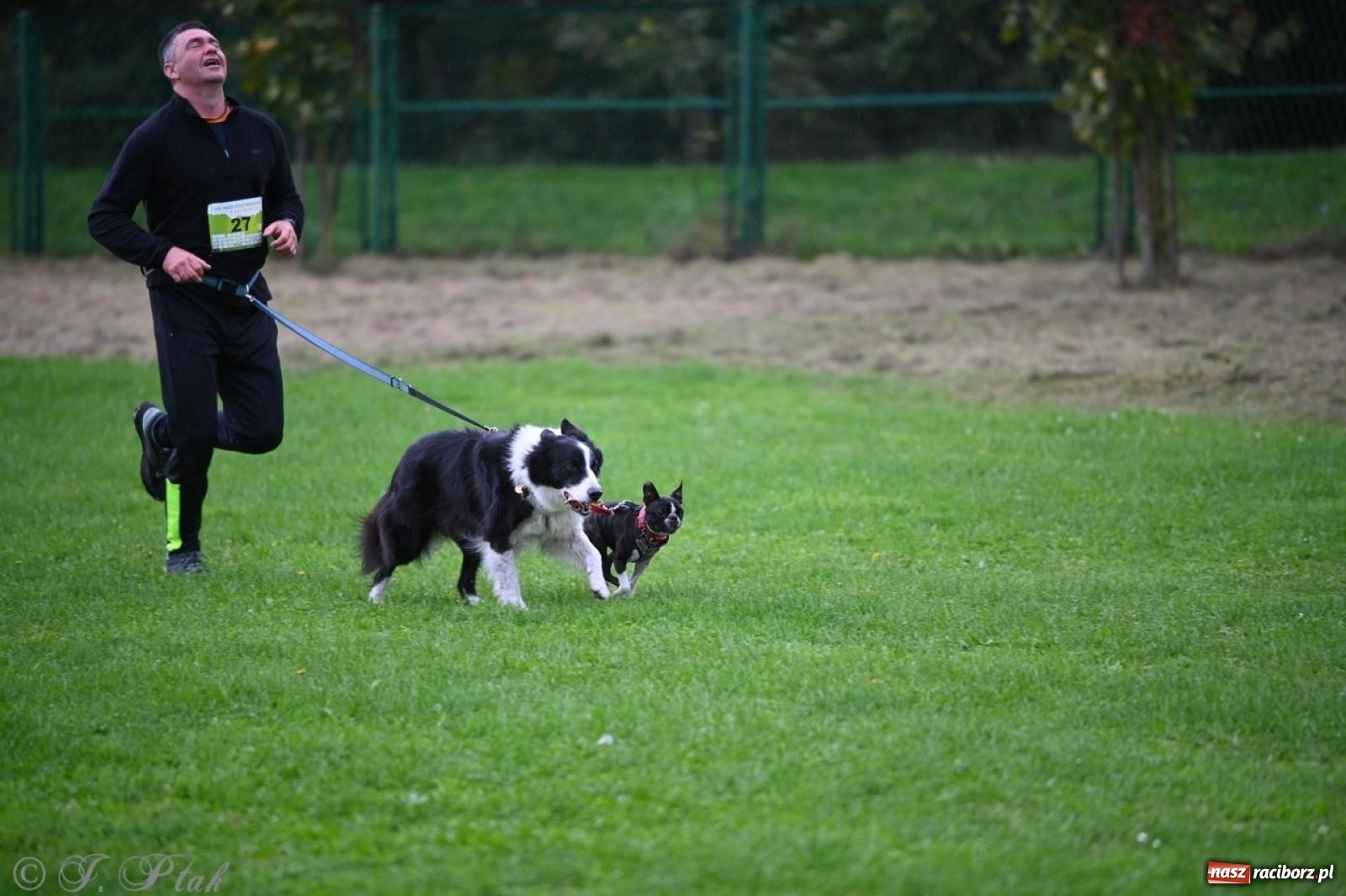 Zdjęcie w galerii na portalu naszraciborz.pl: Niedzielny dogtrekking. Bieg i spacer z psami wsparciem dla zwierząt OTOZ Animals wiadomości z regionu
