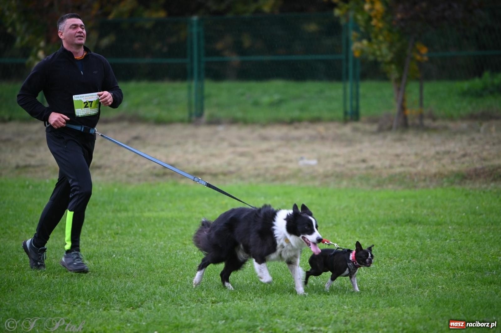 Zdjęcie w galerii na portalu naszraciborz.pl: Niedzielny dogtrekking. Bieg i spacer z psami wsparciem dla zwierząt OTOZ Animals wiadomości z regionu