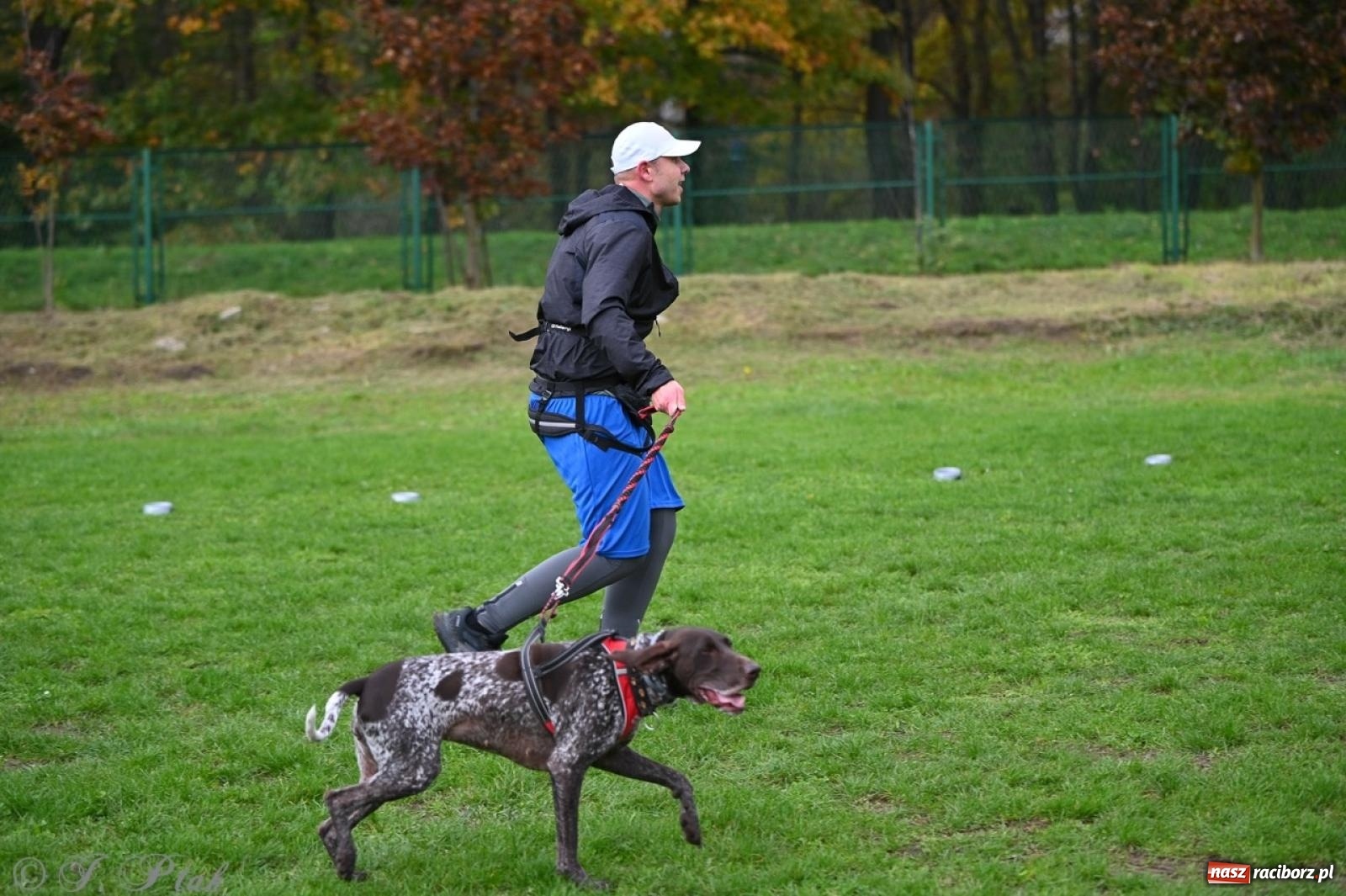 Zdjęcie w galerii na portalu naszraciborz.pl: Niedzielny dogtrekking. Bieg i spacer z psami wsparciem dla zwierząt OTOZ Animals wiadomości z regionu