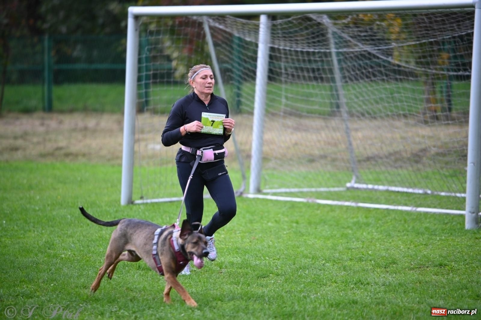 Zdjęcie w galerii na portalu naszraciborz.pl: Niedzielny dogtrekking. Bieg i spacer z psami wsparciem dla zwierząt OTOZ Animals wiadomości z regionu
