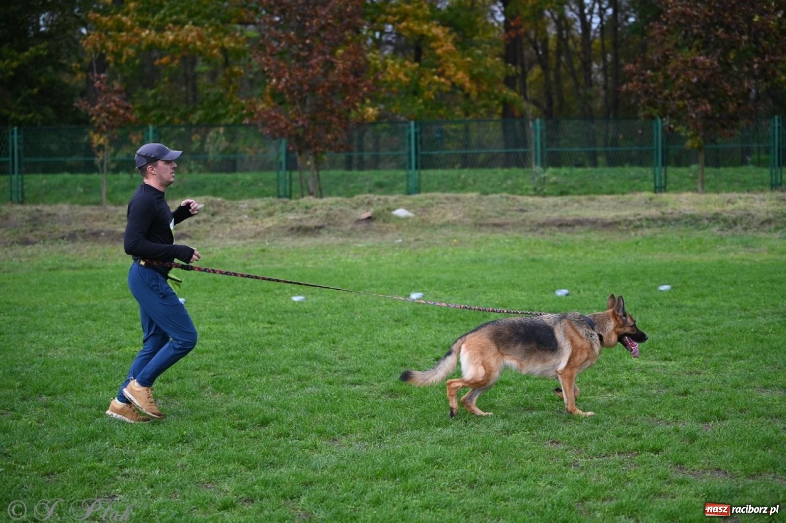 Zdjęcie w galerii na portalu naszraciborz.pl: Niedzielny dogtrekking. Bieg i spacer z psami wsparciem dla zwierząt OTOZ Animals wiadomości z regionu