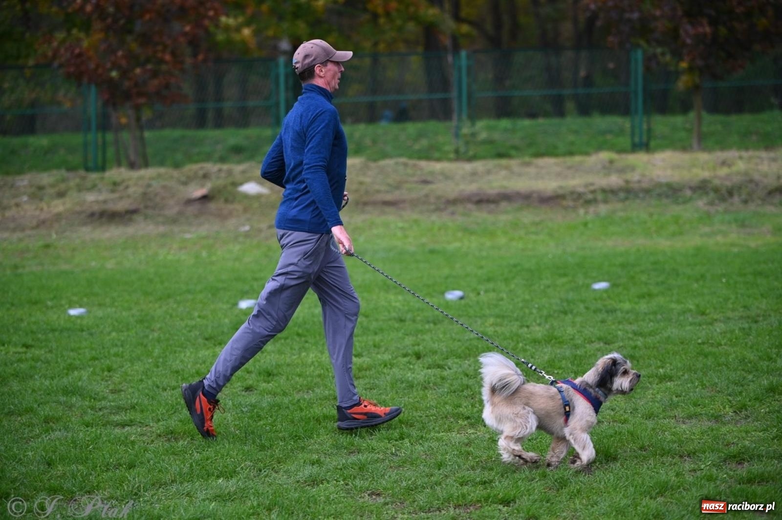 Zdjęcie w galerii na portalu naszraciborz.pl: Niedzielny dogtrekking. Bieg i spacer z psami wsparciem dla zwierząt OTOZ Animals wiadomości z regionu