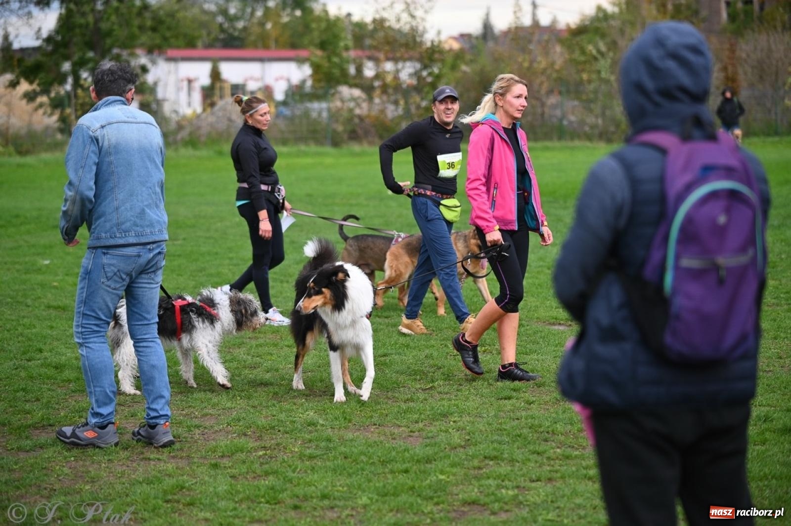 Zdjęcie w galerii na portalu naszraciborz.pl: Niedzielny dogtrekking. Bieg i spacer z psami wsparciem dla zwierząt OTOZ Animals wiadomości z regionu