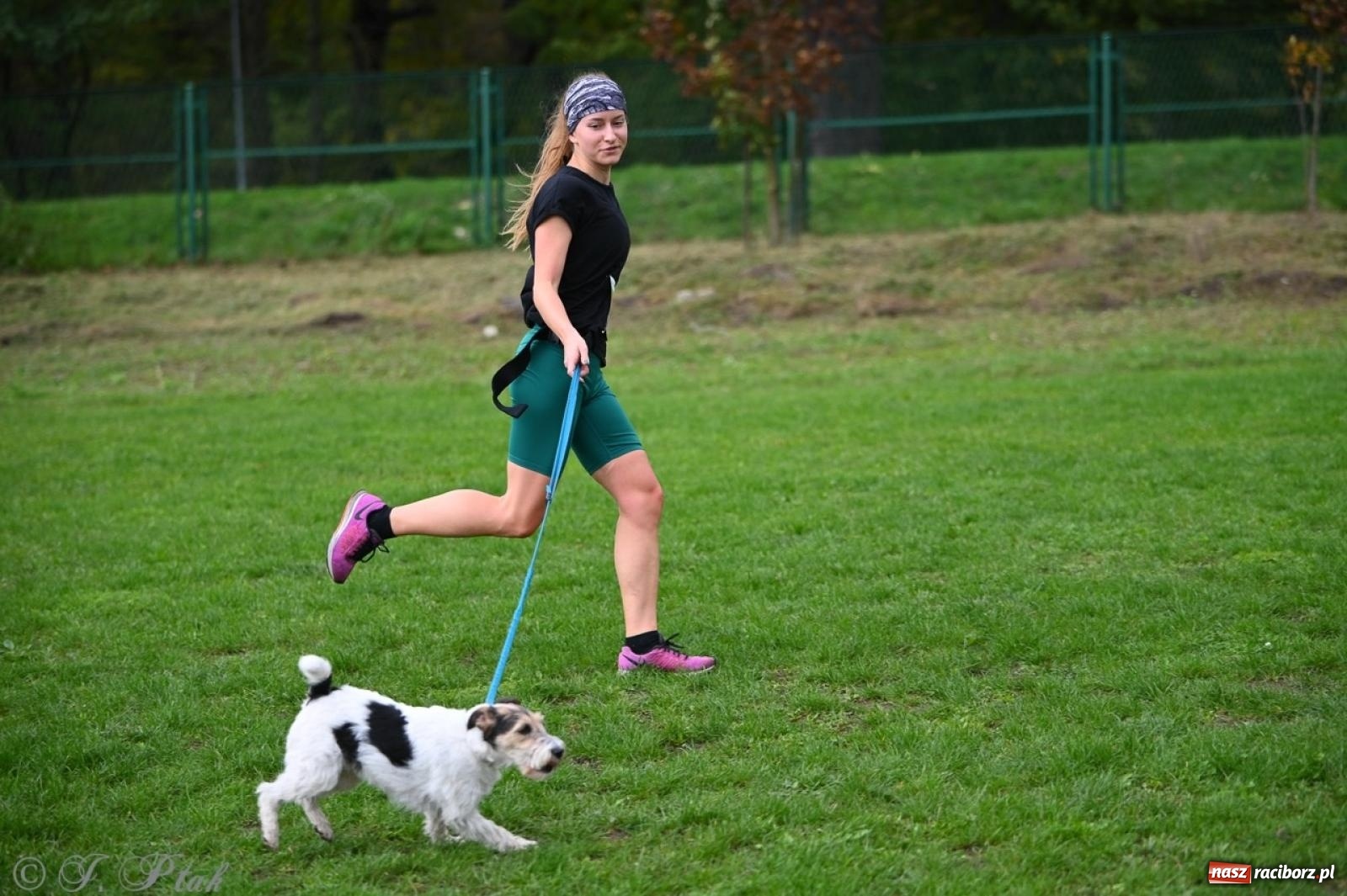 Zdjęcie w galerii na portalu naszraciborz.pl: Niedzielny dogtrekking. Bieg i spacer z psami wsparciem dla zwierząt OTOZ Animals wiadomości z regionu