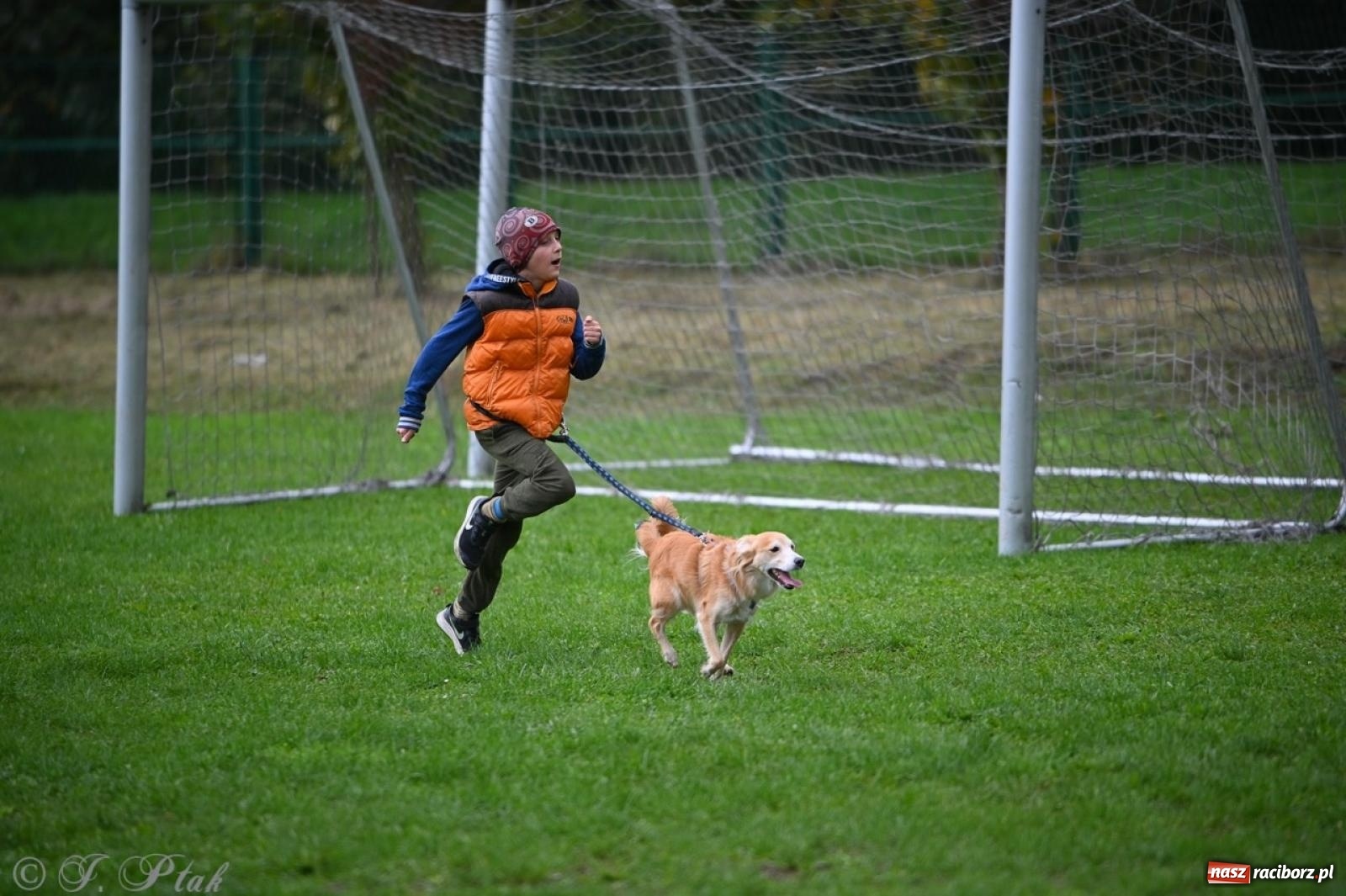 Zdjęcie w galerii na portalu naszraciborz.pl: Niedzielny dogtrekking. Bieg i spacer z psami wsparciem dla zwierząt OTOZ Animals wiadomości z regionu
