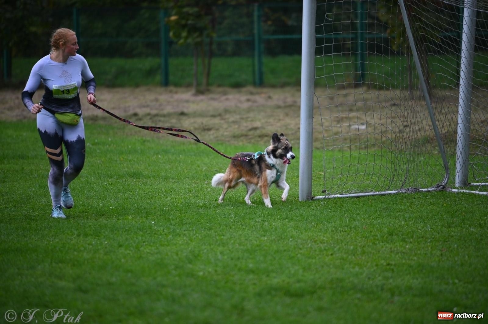 Zdjęcie w galerii na portalu naszraciborz.pl: Niedzielny dogtrekking. Bieg i spacer z psami wsparciem dla zwierząt OTOZ Animals wiadomości z regionu