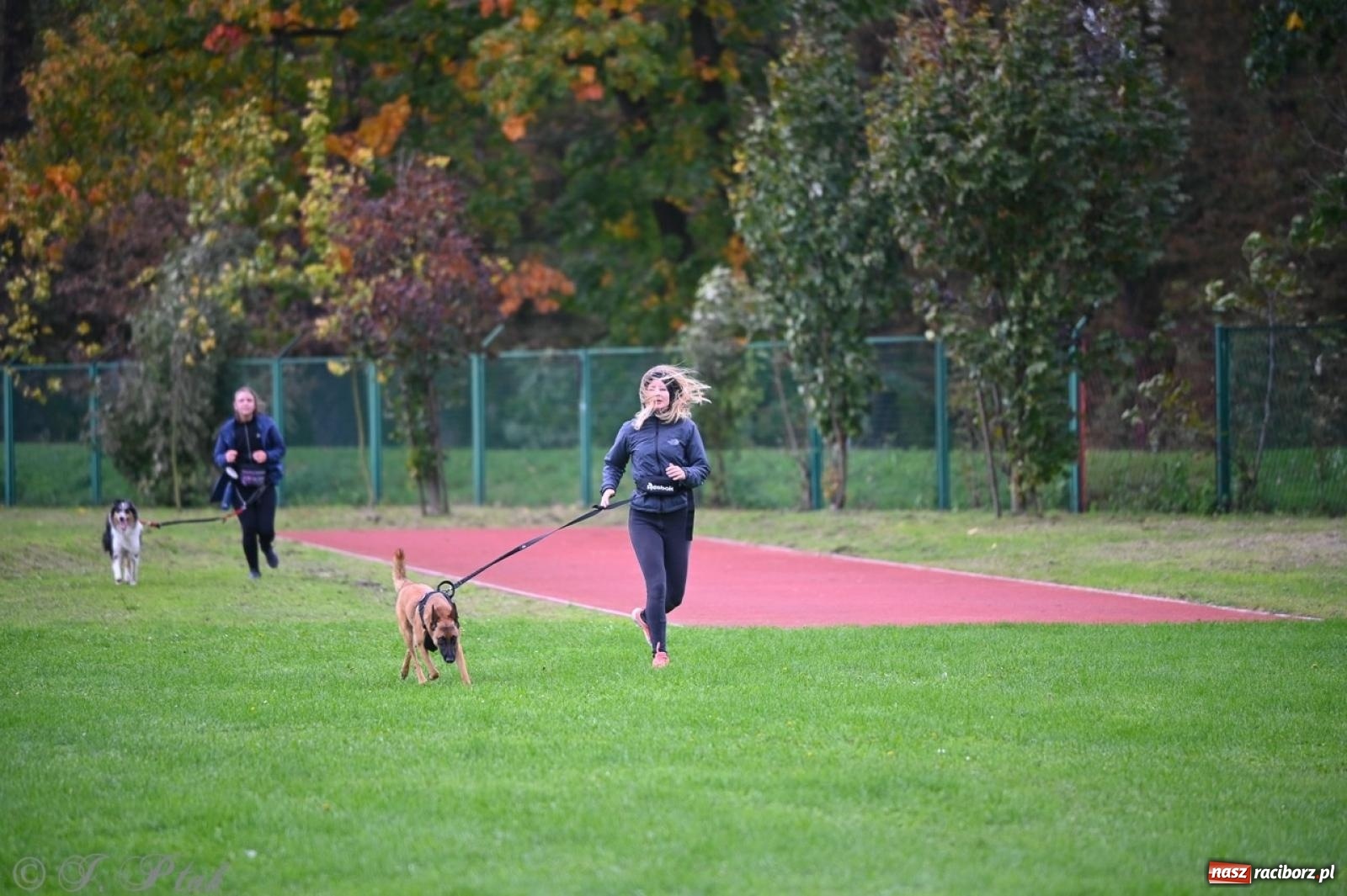 Zdjęcie w galerii na portalu naszraciborz.pl: Niedzielny dogtrekking. Bieg i spacer z psami wsparciem dla zwierząt OTOZ Animals wiadomości z regionu