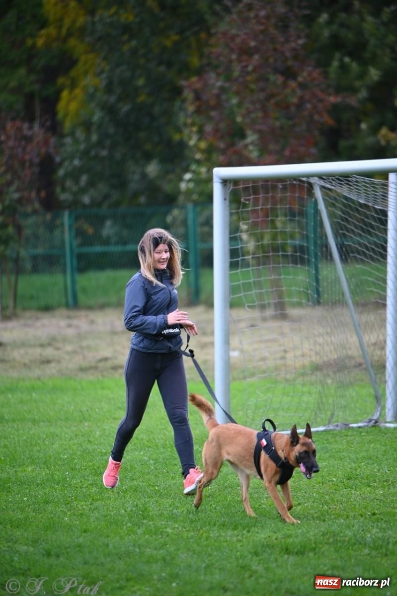 Zdjęcie w galerii na portalu naszraciborz.pl: Niedzielny dogtrekking. Bieg i spacer z psami wsparciem dla zwierząt OTOZ Animals wiadomości z regionu