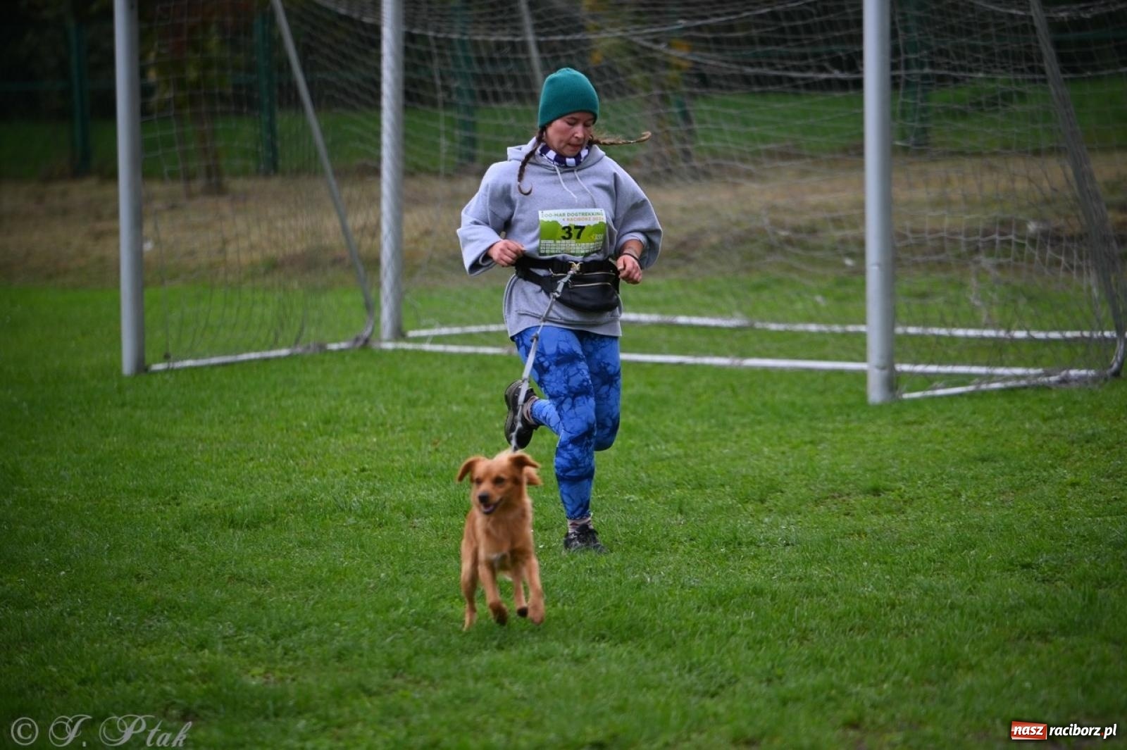 Zdjęcie w galerii na portalu naszraciborz.pl: Niedzielny dogtrekking. Bieg i spacer z psami wsparciem dla zwierząt OTOZ Animals wiadomości z regionu