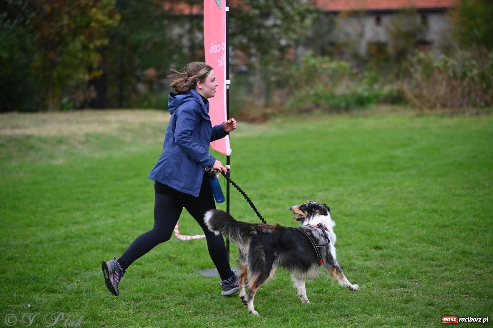 Zdjęcie w galerii na portalu naszraciborz.pl: Niedzielny dogtrekking. Bieg i spacer z psami wsparciem dla zwierząt OTOZ Animals wiadomości z regionu