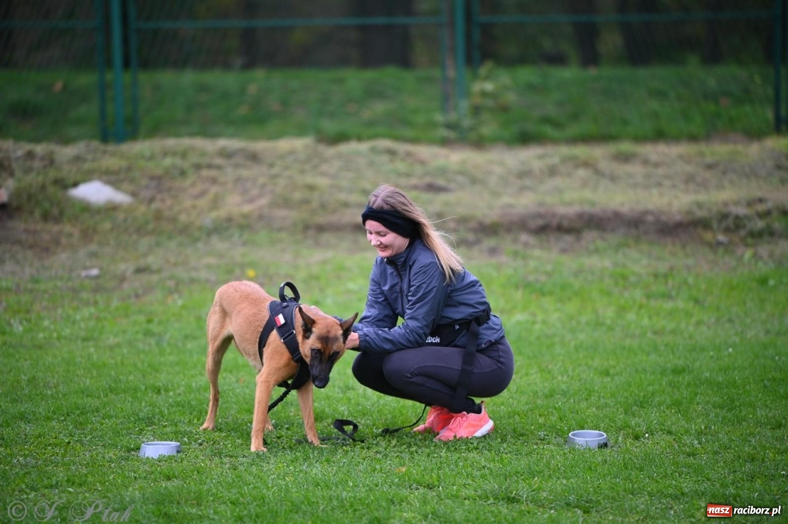 Zdjęcie w galerii na portalu naszraciborz.pl: Niedzielny dogtrekking. Bieg i spacer z psami wsparciem dla zwierząt OTOZ Animals wiadomości z regionu