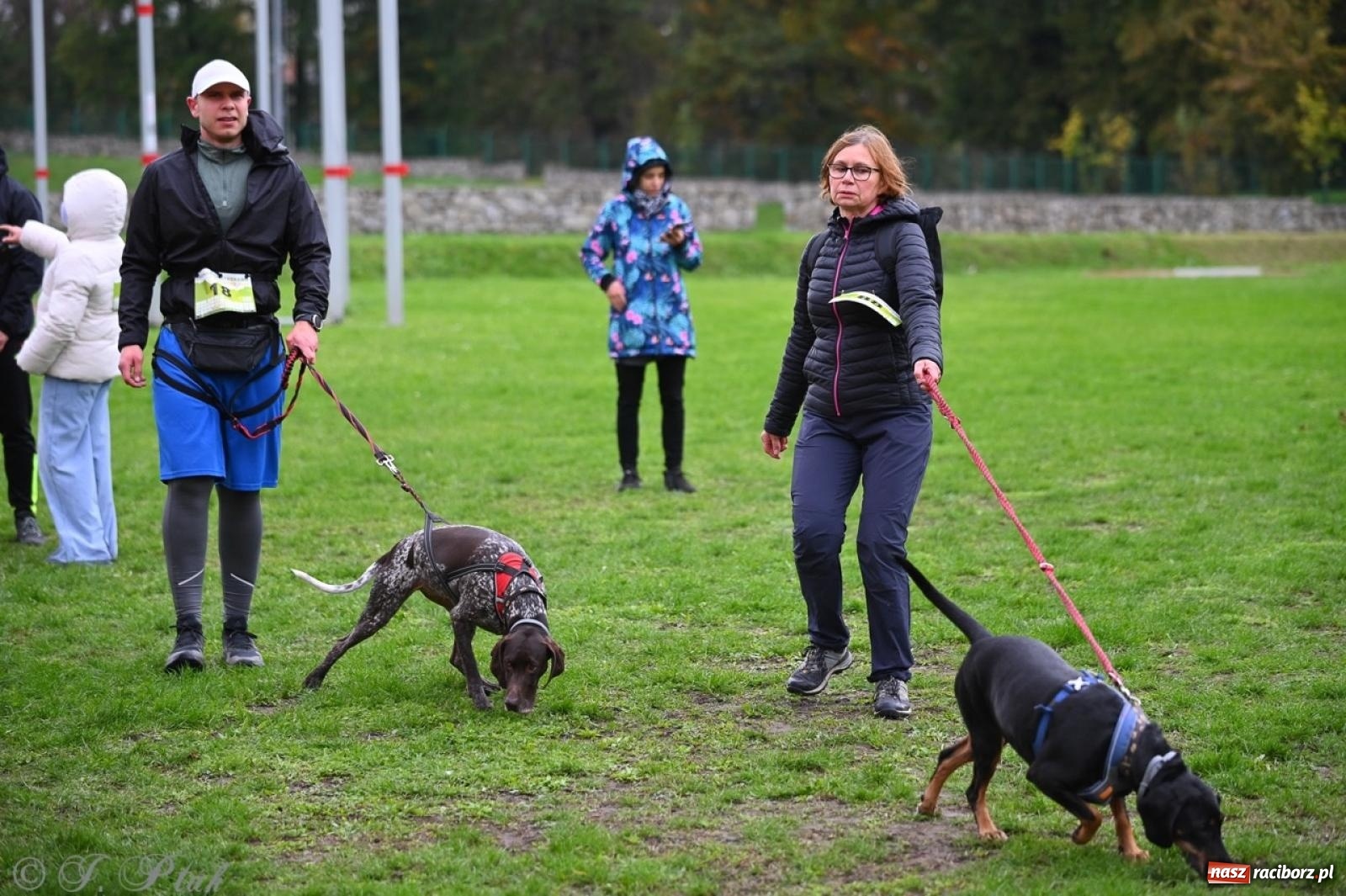 Zdjęcie w galerii na portalu naszraciborz.pl: Niedzielny dogtrekking. Bieg i spacer z psami wsparciem dla zwierząt OTOZ Animals wiadomości z regionu