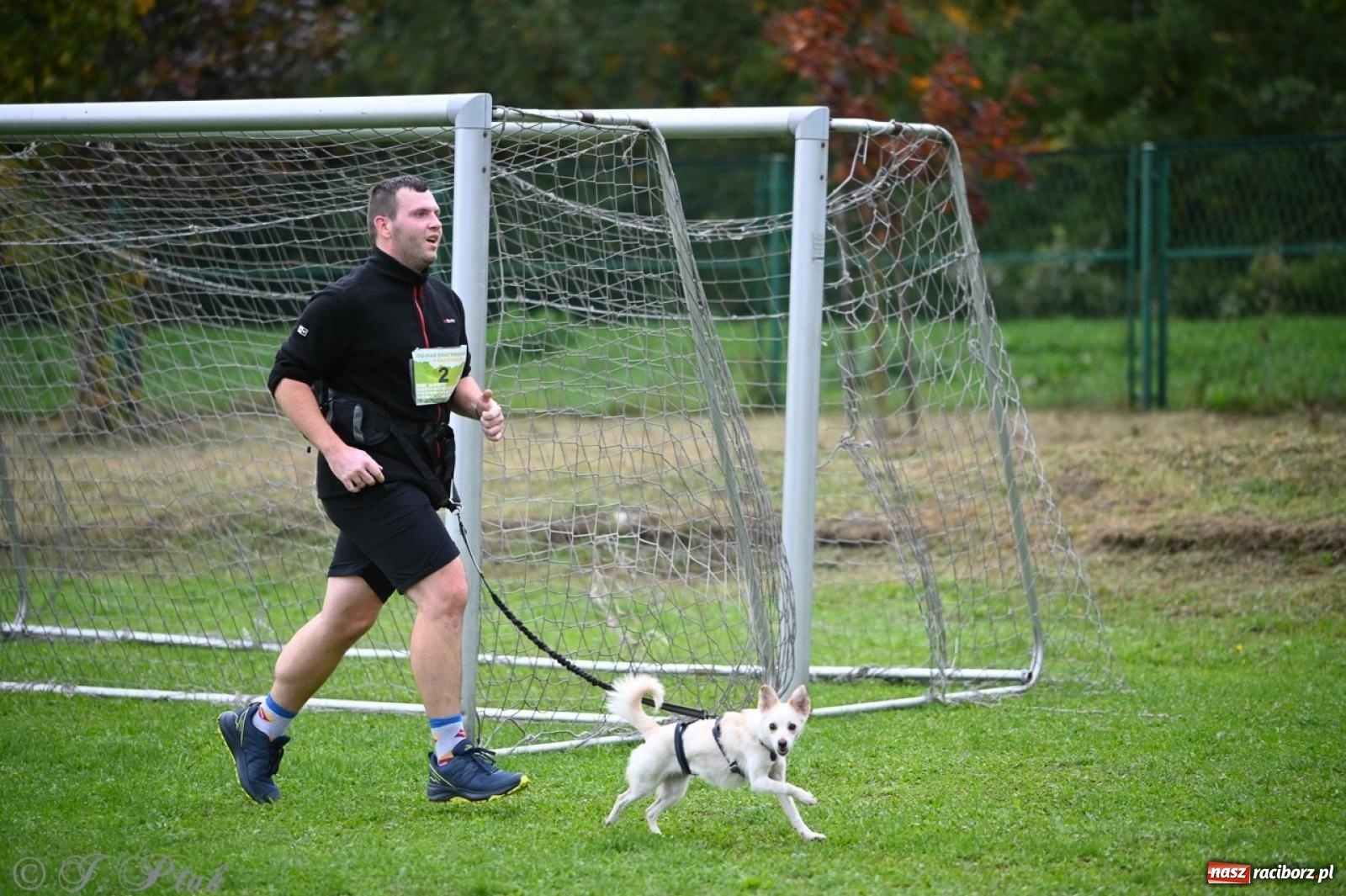 Zdjęcie w galerii na portalu naszraciborz.pl: Niedzielny dogtrekking. Bieg i spacer z psami wsparciem dla zwierząt OTOZ Animals wiadomości z regionu