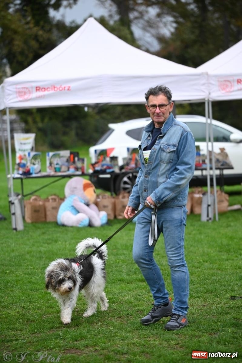 Zdjęcie w galerii na portalu naszraciborz.pl: Niedzielny dogtrekking. Bieg i spacer z psami wsparciem dla zwierząt OTOZ Animals wiadomości z regionu