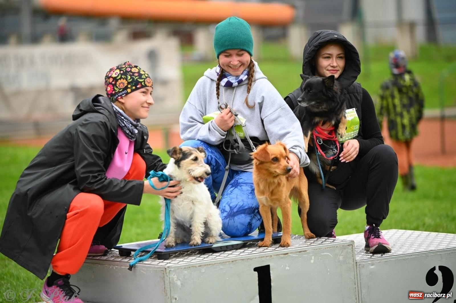 Zdjęcie w galerii na portalu naszraciborz.pl: Niedzielny dogtrekking. Bieg i spacer z psami wsparciem dla zwierząt OTOZ Animals wiadomości z regionu